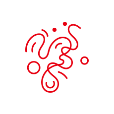 Virus