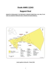 thumbnail of ENQUETE-DE-PREVALENCE-ET-DE-PRATIQUES-A-RISQUES-D’INFECTION-A-VIH-VHB-ET-VHC-CHEZ-LES-USAGERS-DE-DROGUES-DANS-LA-REGION-DE-DAKAR-1
